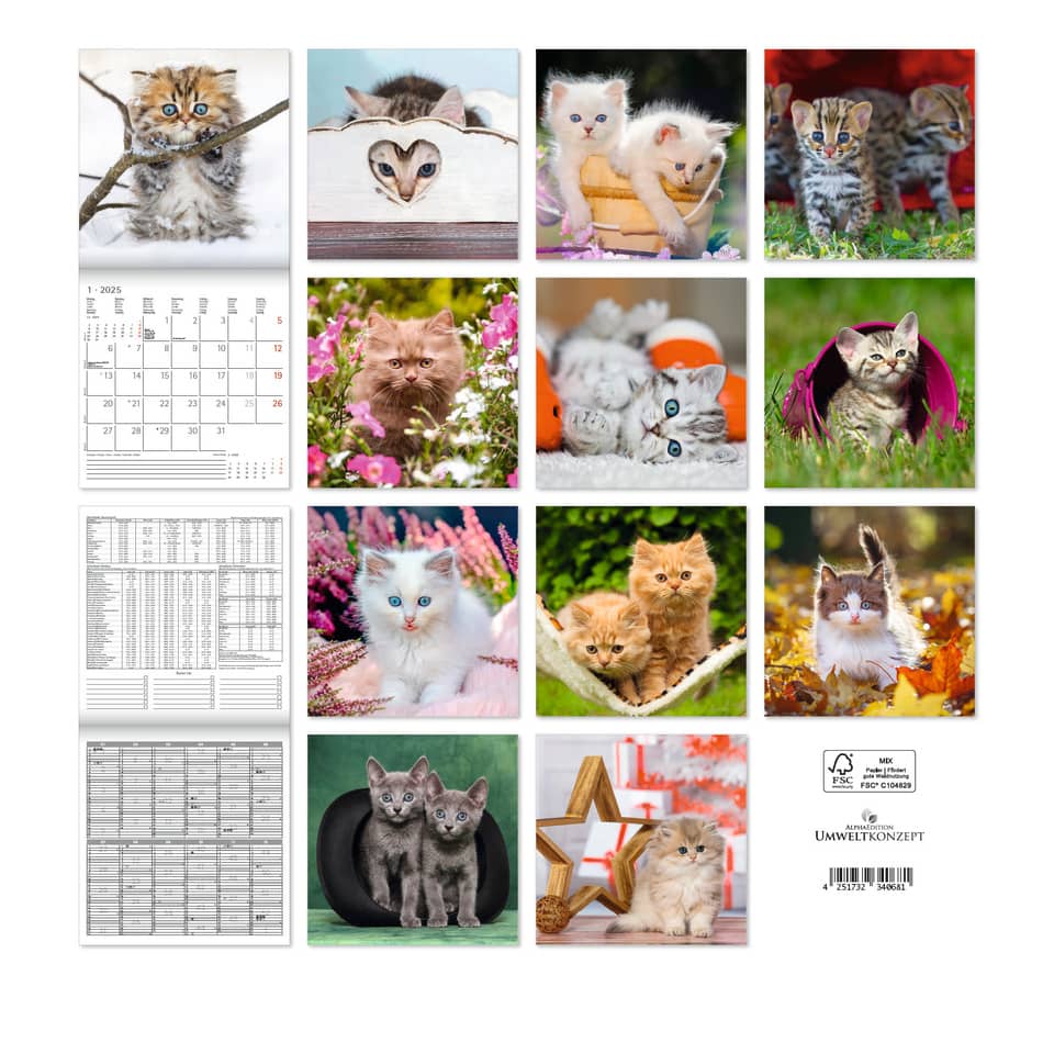 Bild 2 Bildkalender Katzenbabys, 30x60cm, 2025